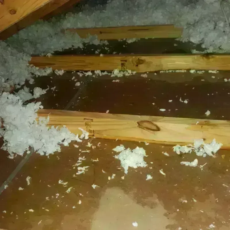 Attic Water Damage in Edgecliff Village, TX